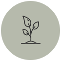 grow 4Core Grow