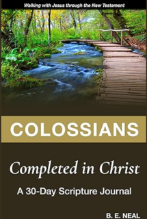 Colossians Journal